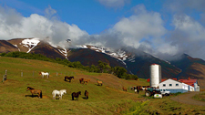 Iceland-Northern Tours-Northern Elves Trail